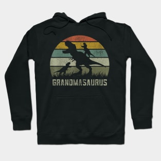 Rawr Dinosaur Grandma Grandmasaurus 2 Kids T-Rex Hoodie